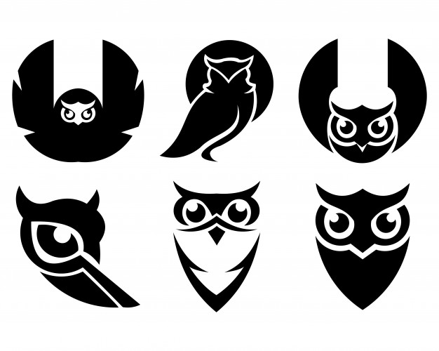 626x500 Owl Bird Animal Set Vector Premium Download