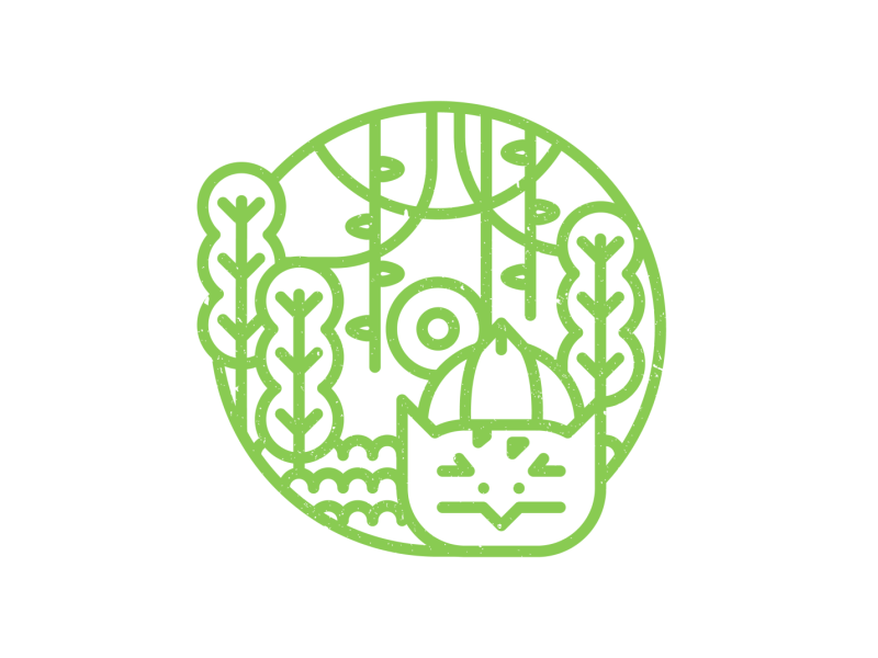 Bulbasaur I Choose You! 800x600 Bulbasaur I Choose You!