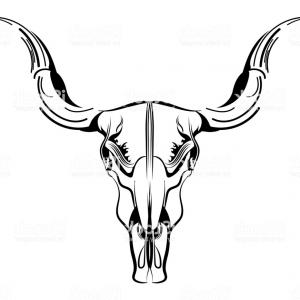300x300 Bulls Head Vector Line Art Gm Studiogrfx