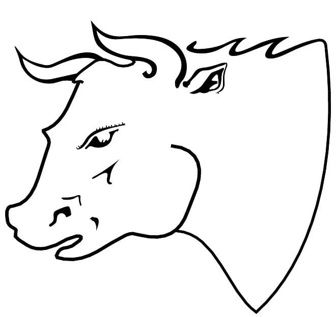 660x624 Large Bull Head Vector Free Graphics Uihere