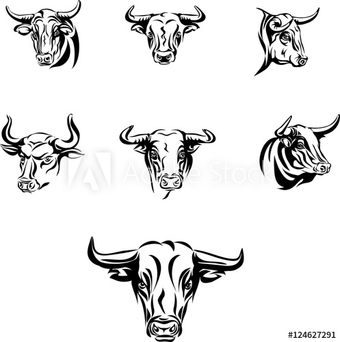 497x500 Bull, Head, Vector, Black And White Image