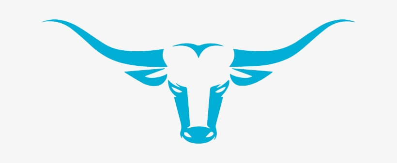 820x337 Vector Bull Horns Texas