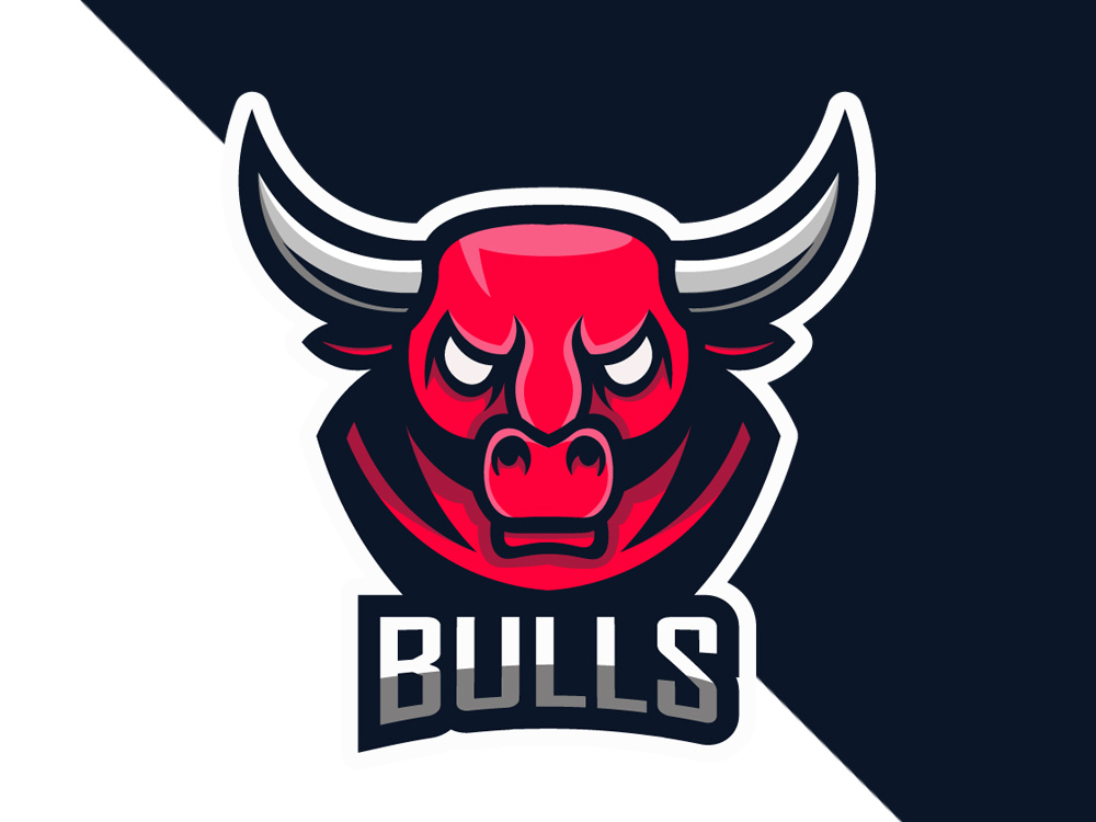 1000x750 Bulls Logo