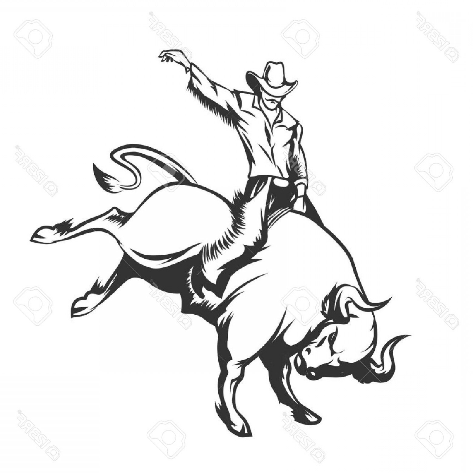 1560x1560 Photostock Vector Rodeo Cowboy Riding A Wild Bull Monochrome