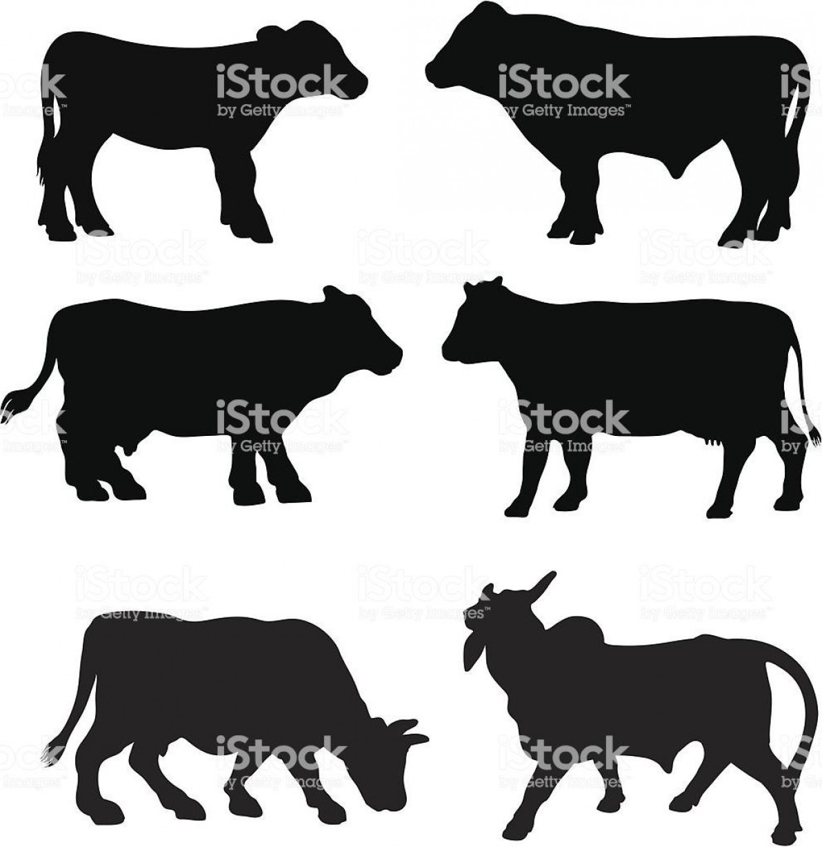 1192x1228 Hd Angus Bull Silhouette Vector Drawing Hoodamathrun
