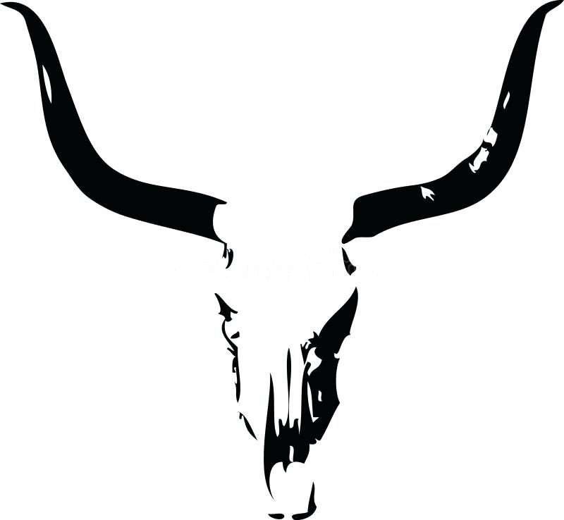 800x738 Longhorn Cow Skull Download Longhorn Steer Skull Stock Vector