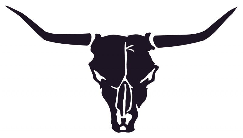 800x455 Bull Skull Clipart