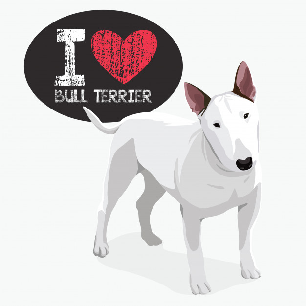 626x626 I Love Bull Terrier Vector Premium Download