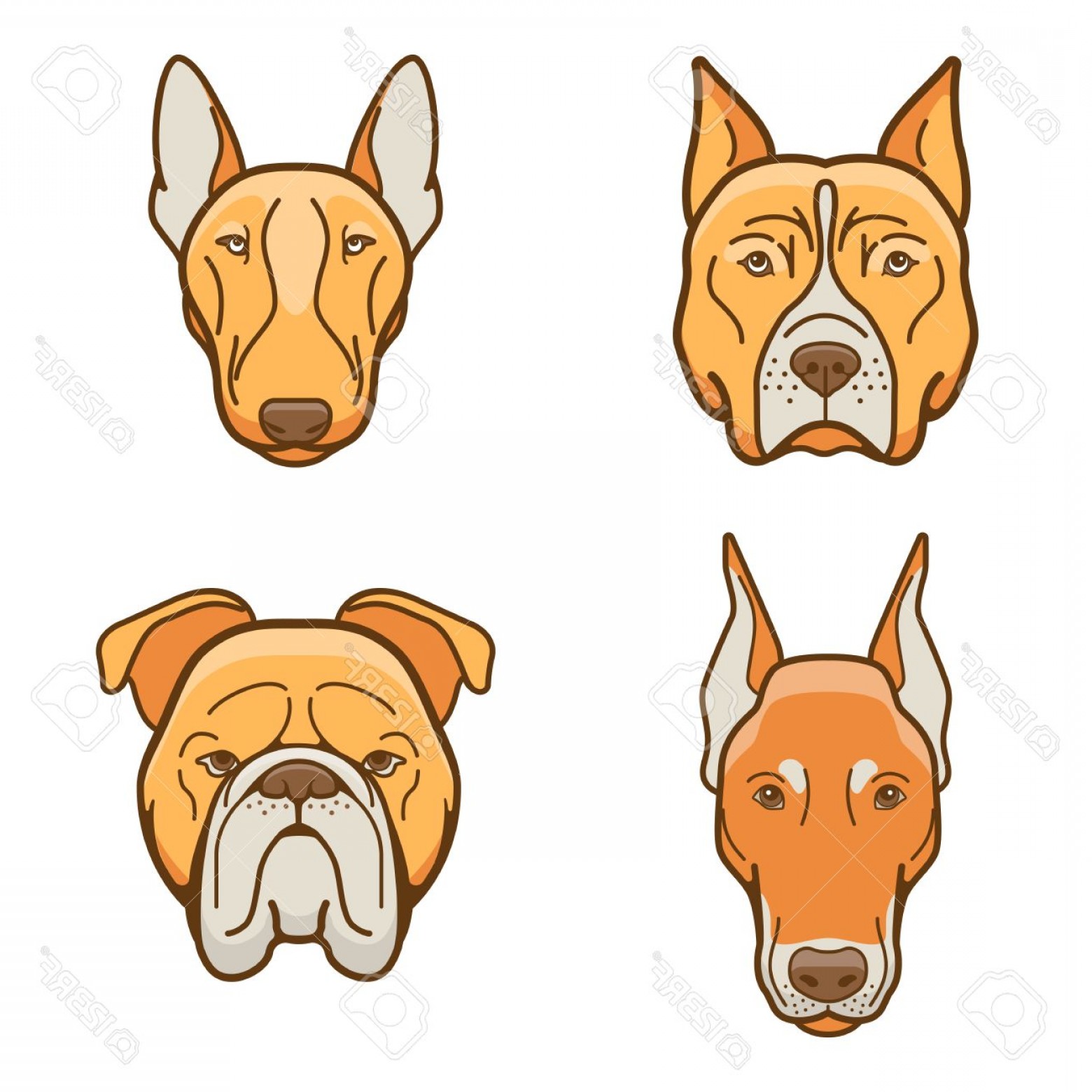1560x1560 Photostock Vector Dog Faces Of Various Breeds Dobermann Bulldog