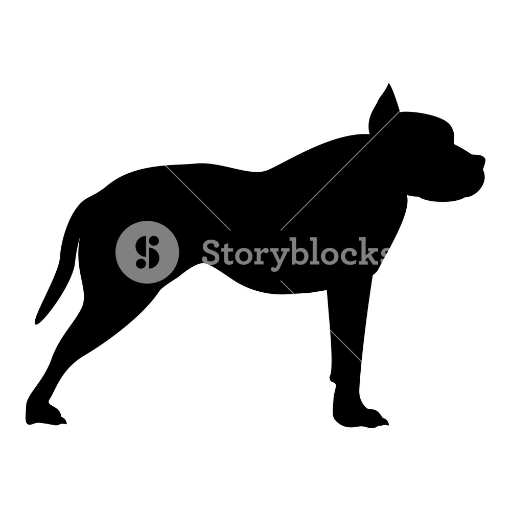 1000x1000 Pit Bull Terrier Icon Black Color Vector Illustration Flat Style