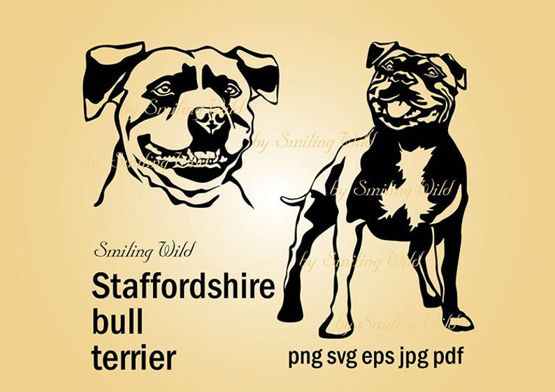 794x562 Staffordshire Bull Terrier Art Clipart Vector Graphic Etsy