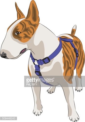 346x495 Vector Dog Breed Bull Terrier Stock Vectors