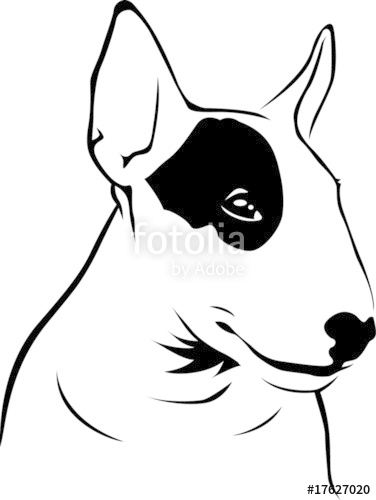 376x500 Bull Terrier Stock Image And Royalty Free Vector On Fotolia