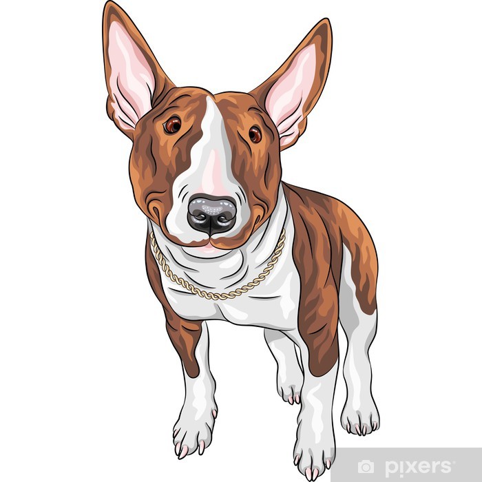 Bull Terrier Vector at Vectorified.com | Collection of Bull Terrier ...