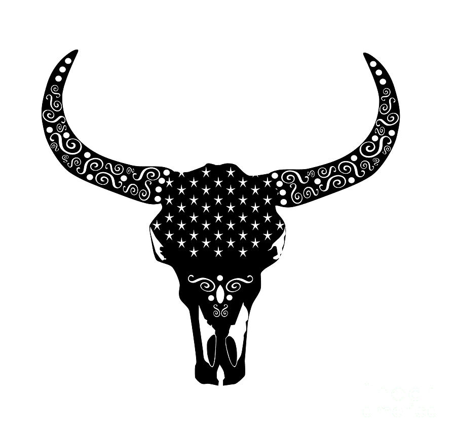 900x859 Cows Head, Animal Skull, Bull Vector Illustration With Ornament