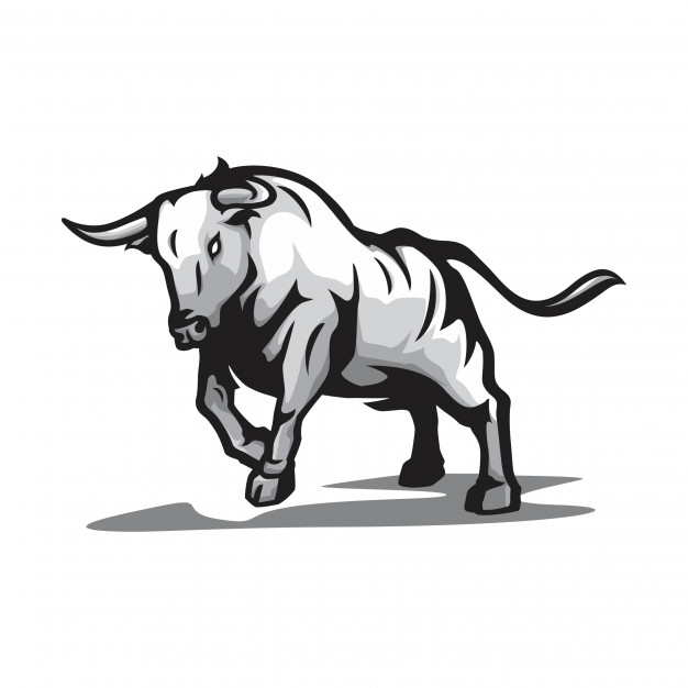 626x626 Wild Bull Vector Vector Premium Download
