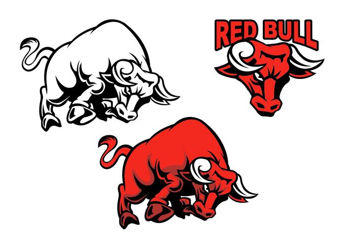 700x490 Bull Free Vector Art