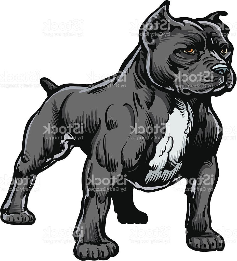 930x1024 Unique Pit Bull Vector Logo Pictures Free Vector Art, Images