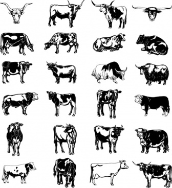 336x368 Bull Free Vector Download