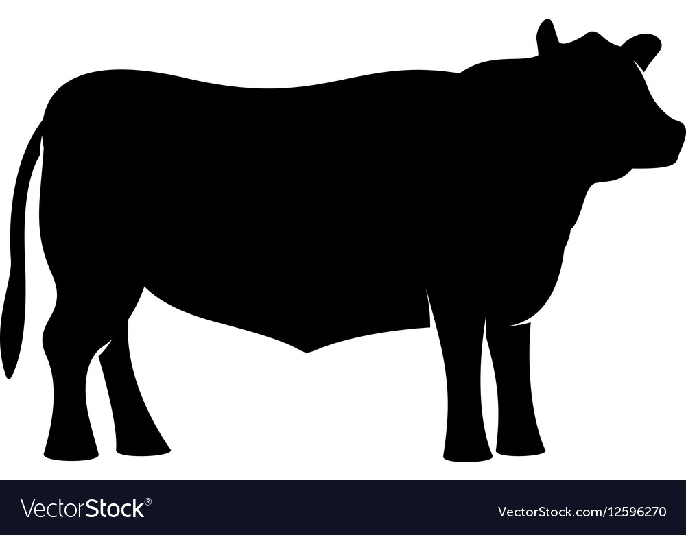 1000x780 Collection Of 'silhouette Bull' Download More Than Images