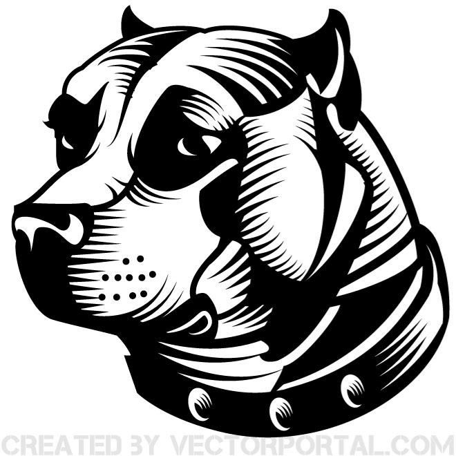 660x660 Bull Free Vectors Downloads Found