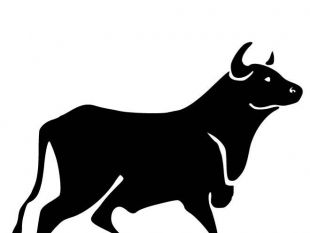 Bull Vector Free at Vectorified.com | Collection of Bull Vector Free ...