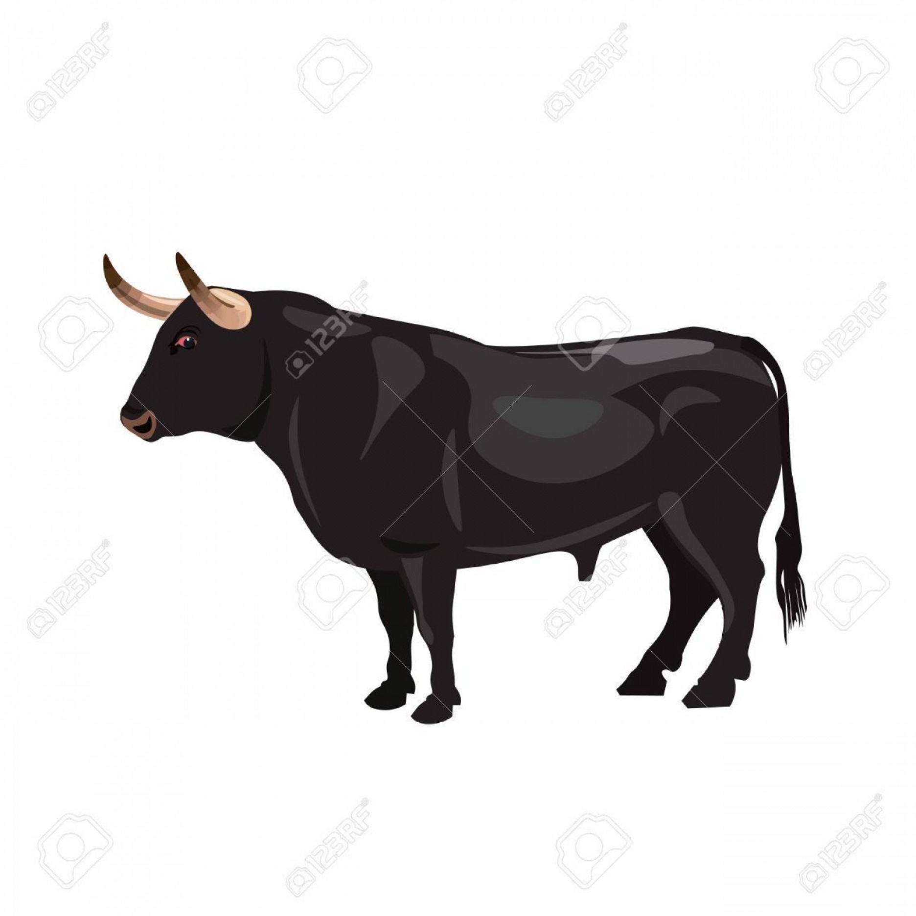 Photostock Vector Spanish Fighting Bull Vector Illustration Soidergi 1872x1872 Photostock Vector Spanish Fighting Bull Vector Illustration Soidergi