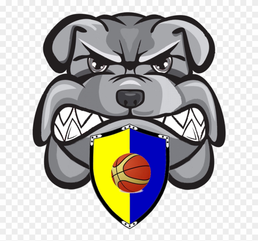 880x822 Bulldog Head Vector