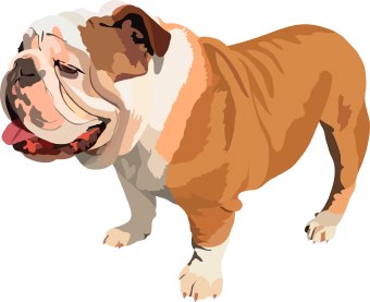340x277 Bulldog China Clip Art Vector Clip Clipartix