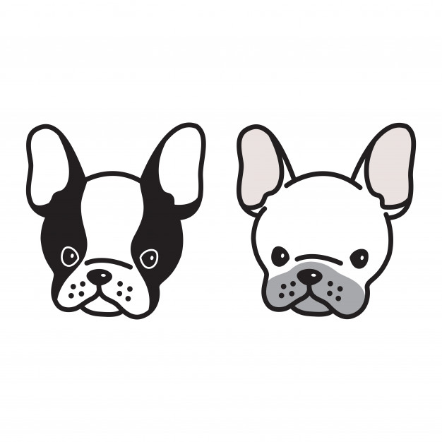 626x626 Dog Vector French Bulldog Face Cartoon Vector Premium Download