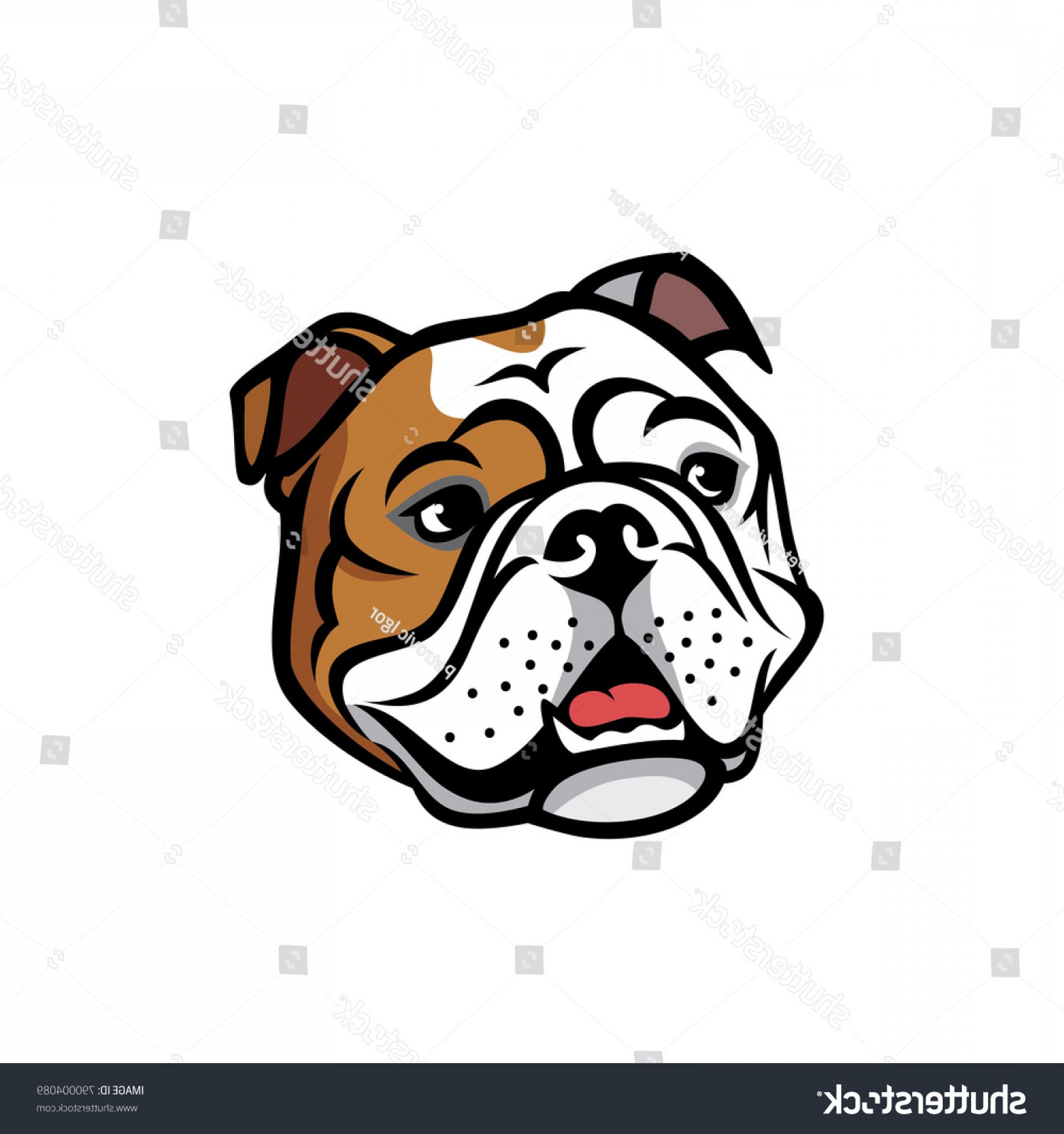 1800x1920 English Bulldog Face Isolated Vector Illustration Soidergi