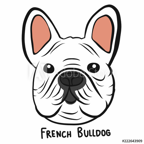 500x500 French Bulldog Face Cartoon Doodle Vector Illustration