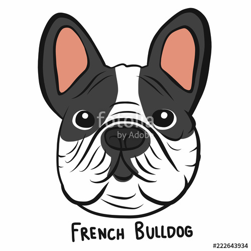 Bulldog Face Vector at Vectorified.com | Collection of Bulldog Face ...