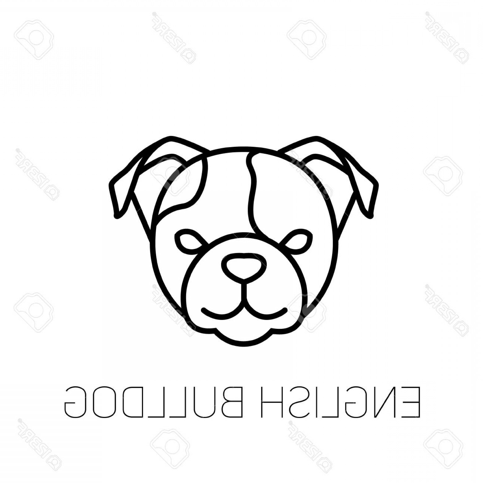 1560x1560 Photostock Vector English Bulldog Linear Face Icon Isolated