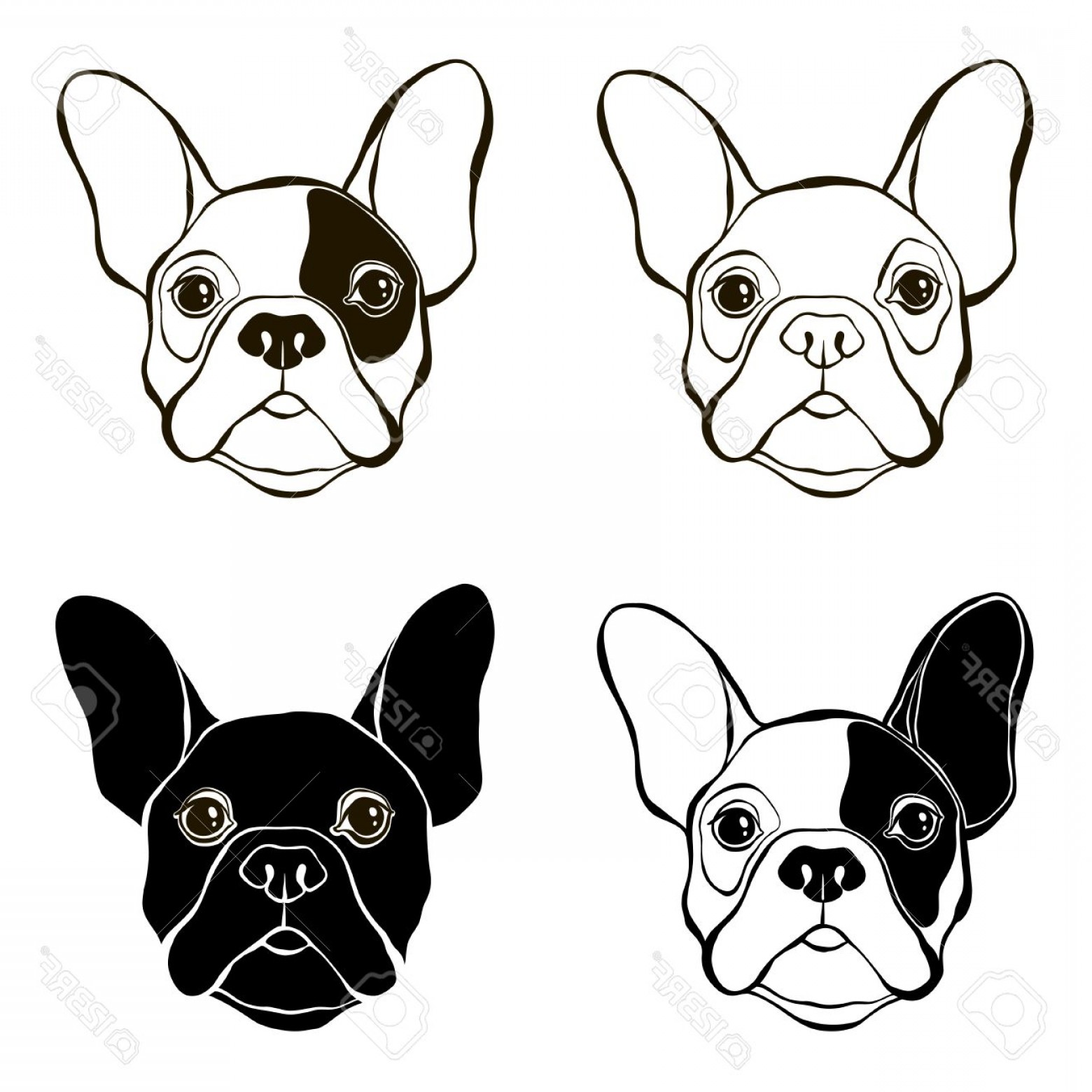 1560x1560 Photostock Vector French Bulldog Vector Set Of Bulldog S Face Hand