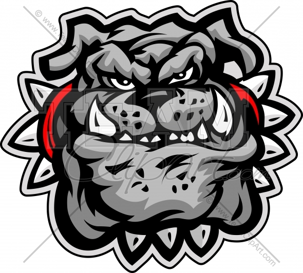 590x532 Bulldog Cartoon Face Vector Illustration