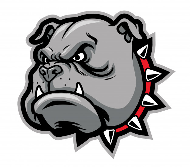 626x551 Bulldog Head Mascot Vector Premium Download