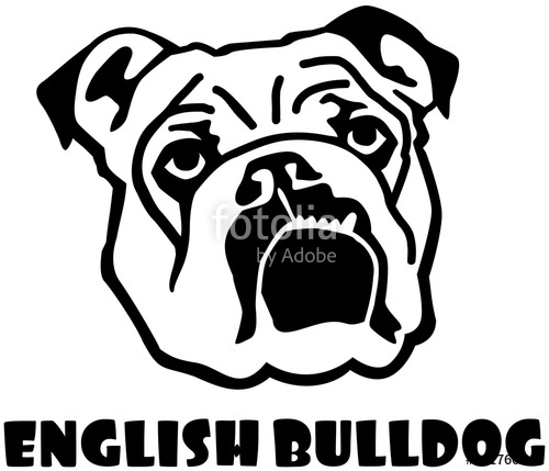 500x429 English Bulldog Head Stock Image And Royalty Free Vector