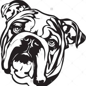 747 Bulldogs vector images at Vectorified.com