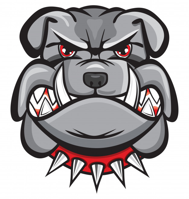 626x661 Angry Bulldog Head Vector Premium Download