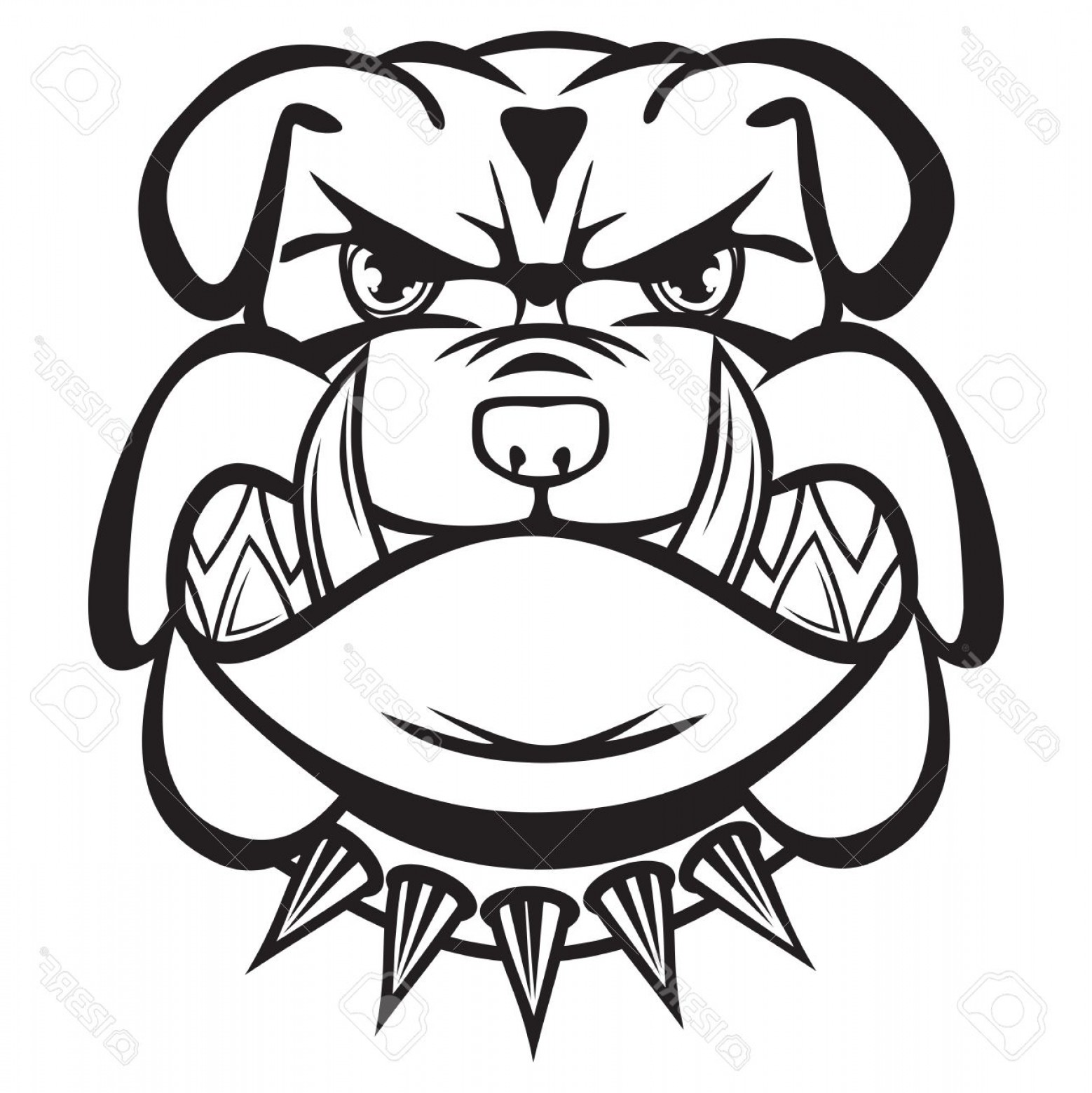 1558x1560 Photoangry Bulldog Head Black And White Savoyuptown