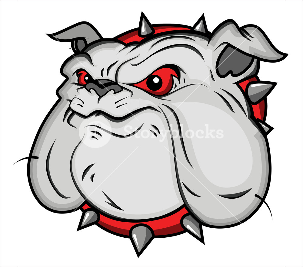 1000x883 Bulldog Mascot Vector Illustartion Royalty Free Stock Image