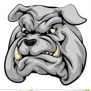 300x300 Stock Illustration Angry Bulldog Vector Head Logo Mascot Image