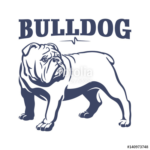 500x500 British Bulldog Mascot Emblem Illustration Stock Image