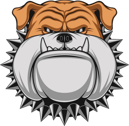 450x440 Vector Illustration Angry Bulldog Mascot Head, On A White