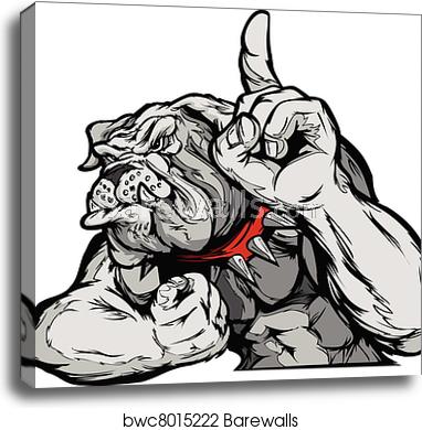 382x390 Bulldog Mascot Body Vector Cartoon, Canvas Print Barewalls