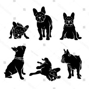 300x300 Best Silhouette Of An English Bulldog Vector Drawing Catchsplace