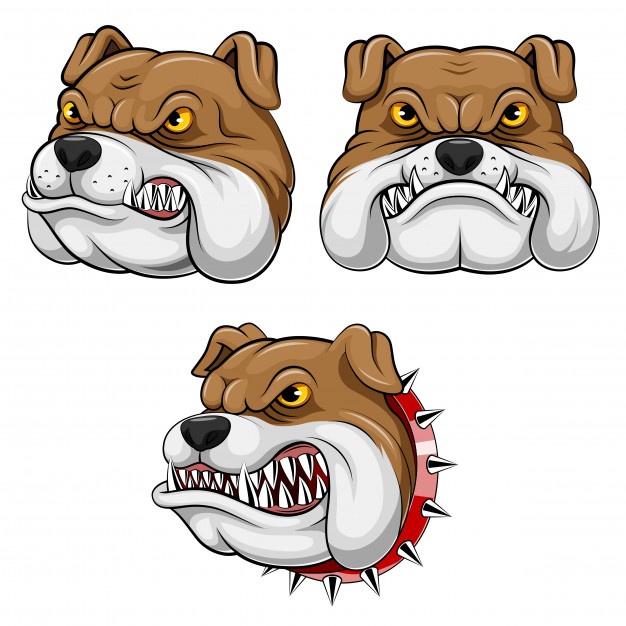 626x626 Bulldog Vectors, Photos And Free Download