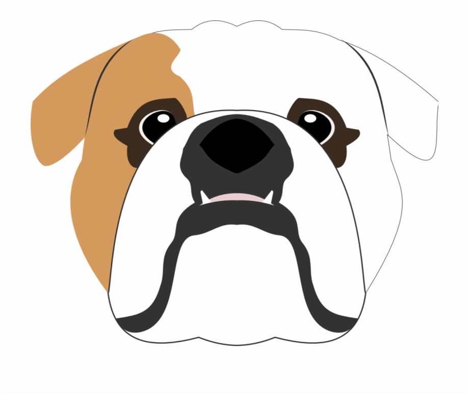 920x775 English Bulldog Vector Design