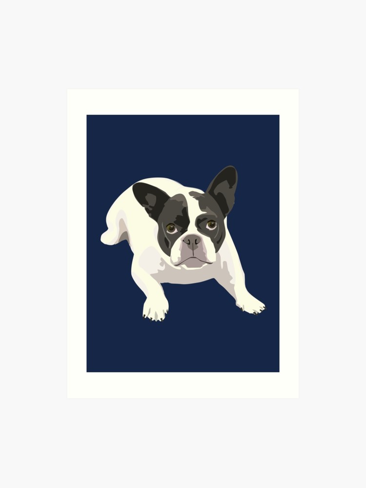750x1000 Black And White French Bulldog